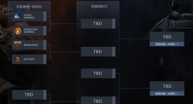 VCT 官方宣布新增两个合作者席位，2025年生效